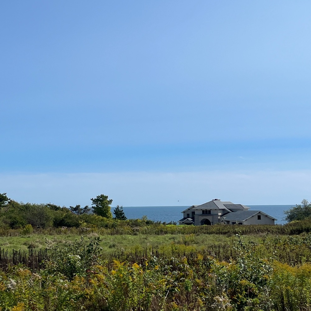 Meet your Posher, Maggie